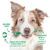 TropiClean Fresh Breath Total Care Kit