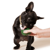 Woof Pupsicle Treat Tray