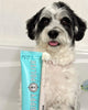 Wag & Bright Puppy Polish Toothpaste