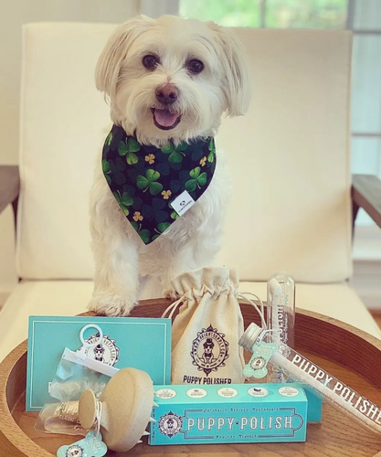 Wag & Bright Puppy Polish Toothpaste