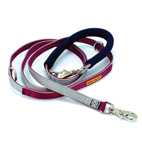 Wonder Walker® Cruiser Leash - Customized
