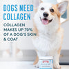 The Missing Link® Collagen Care™ Skin & Coat Soft Chews