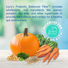 Lucy Pet Salmon, Pumpkin & Quinoa Dry Dog Food – Exclusive Gut Health Formula