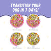 Weruva BFF Meals Fun Size Sampler! Variety Pack Dog Wet Food (2.75 Oz - 8pk)
