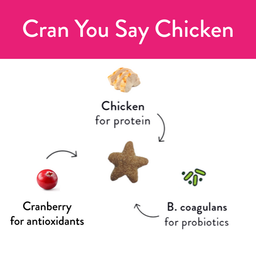 Shameless Cran You Say Chicken Kitty Cane Crunchy Chicken and Cranberry Flavor Cat Treats
