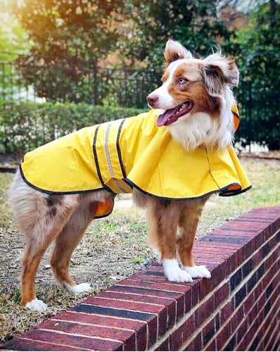 Ethical Pet Rainy Days Slicker Yellow