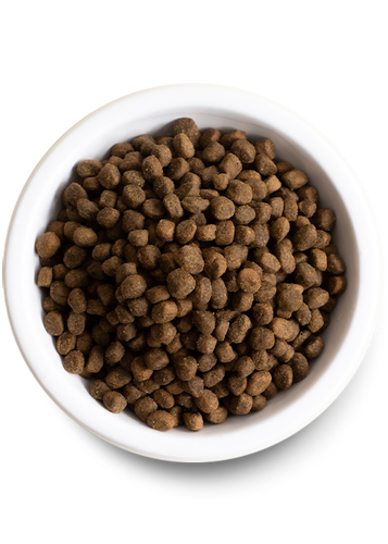 Open Farm Grass-Fed Beef & Ancient Grains Dry Dog Food