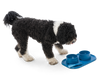 West Paw Drifty® Dog Toy