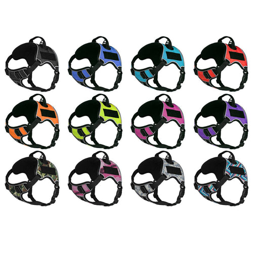 Dogline Quest Multi-Purpose Dog Harness