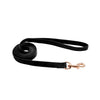 Accent Microfiber Dog Leash (5/8