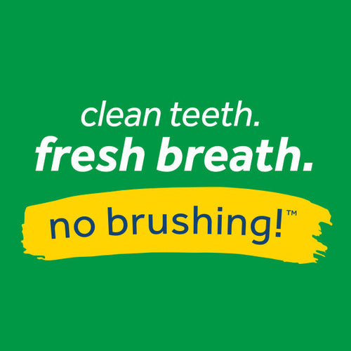TropiClean Fresh Breath No Brushing Peanut Butter Flavor Clean Teeth Dental & Oral Care Gel for Dogs (4 oz)