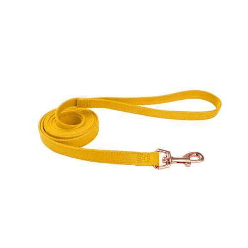 Accent Microfiber Dog Leash (5/8